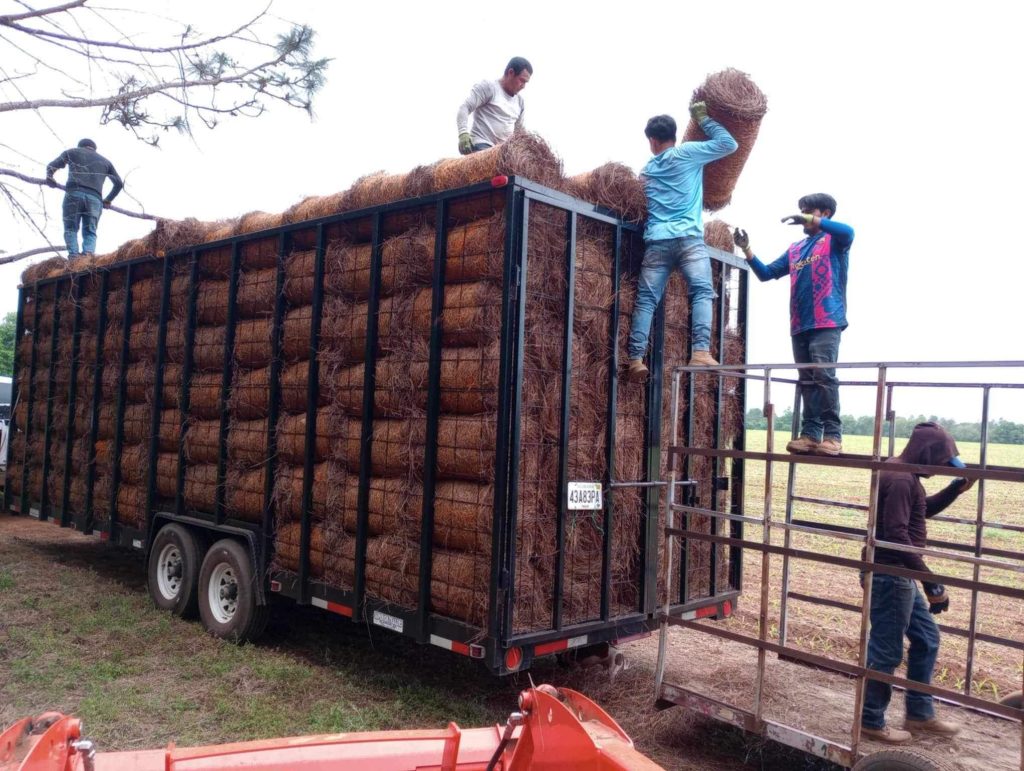 The M and I team unloading round pine straw bales from a fully loaded trailer.